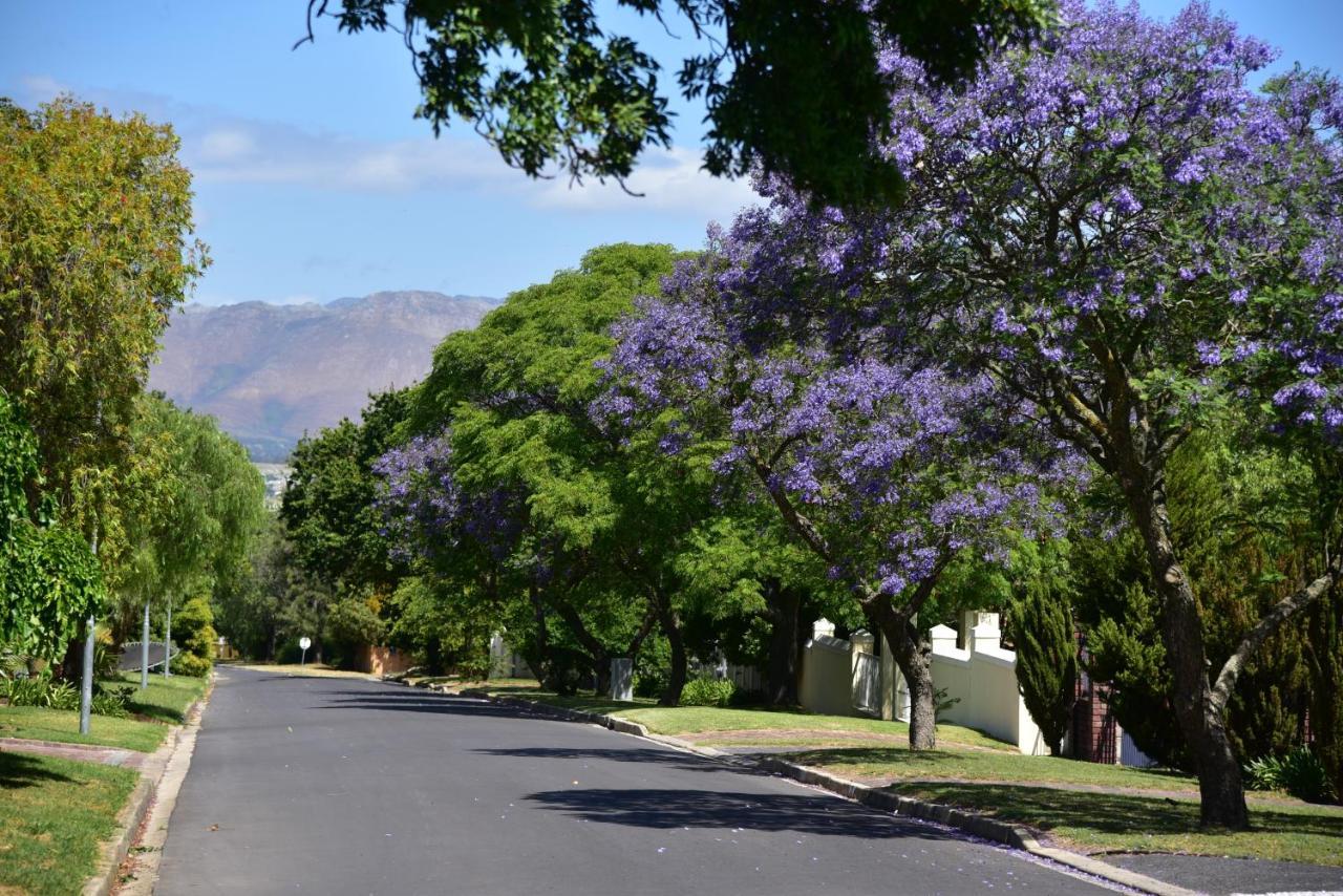 Yebo Boutique Guesthouse Somerset West Esterno foto